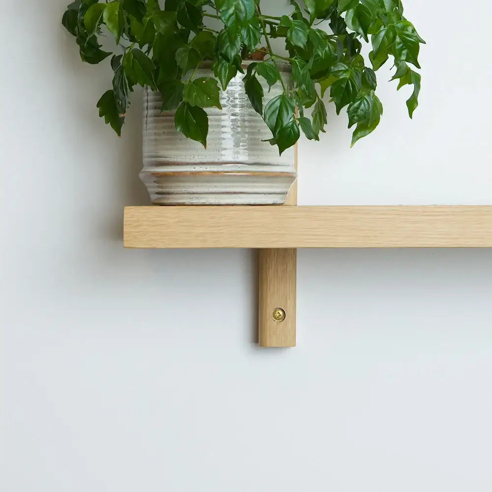 Elegant oak shelf with a green plant in a ceramic pot, perfect for Danish design, produceret i Europa.